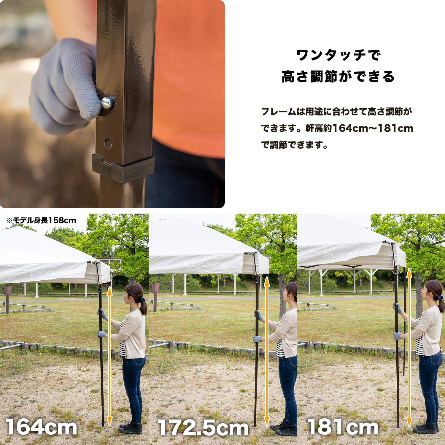 Amazon｜コーナン オリジナル オーニングタープ 250 アイボリー